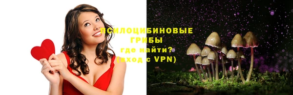 ешки Верхний Тагил