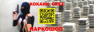 шишки Будённовск