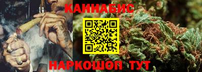 шишки Будённовск