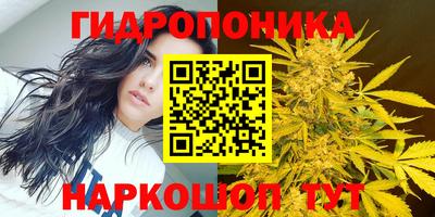 ГАЛЛЮЦИНОГЕННЫЕ ГРИБЫ Балахна