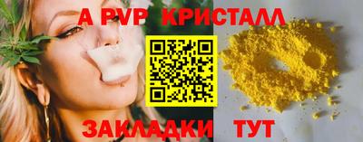 шишки Будённовск