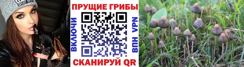 hydra рабочий сайт  Гурьевск  Галлюциногенные грибы ЛСД 