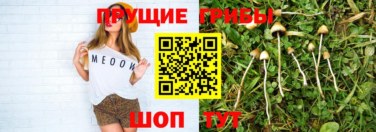 Галлюциногенные грибы мицелий  где можно купить наркотик  Гурьевск 