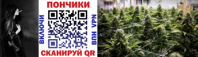 Марихуана индика  Гурьевск 